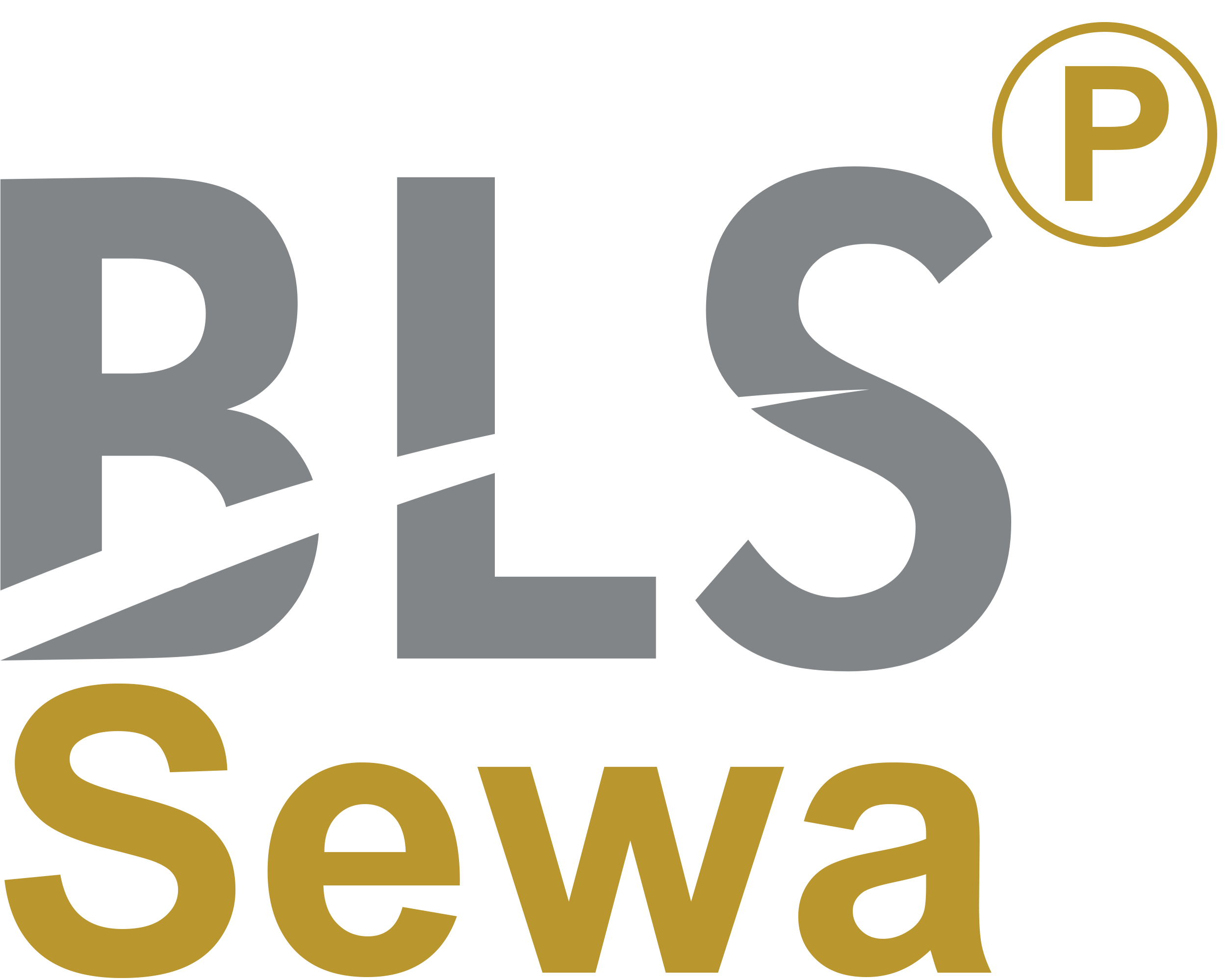 CSP B2C Services